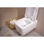 Set WC sospeso hansgrohe EluPura Q 540 AquaFall Flush con sedile WC SoftClose e QuickRelease - vista tecnica