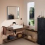 hansgrohe Xanuia Q Lavabo d'appoggio lucidato 650/480 senza foro per rubinetto con troppopieno - vista dettagliata