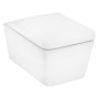 Set WC sospeso hansgrohe EluPura Q 540 senza bordo con sedile e HygieneEffect - vista dettagliata