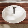 hansgrohe Xuniva D Lavabo da appoggio ovale 60 x 45 cm - vista dettagliata
