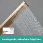 hansgrohe Pulsify E Stabhandbrause 100 1 Strahlart EcoSmart