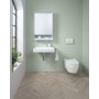 WC suspendu Geberit ONE, avec TurboFlush et abattant de WC - vue détaillée