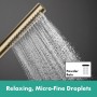 hansgrohe Pulsify S Puro Duschsystem 260 1 Strahlart, mit Ecostat Fine - technische Ansicht