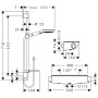 hansgrohe Raindance Select E 120 Combi 65 cm - vue détaillée