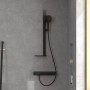 Set doccia Villeroy & Boch Infinity Showers - vista dettagliata