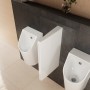 hansgrohe EluPura Original Q Urinaltrennwand - Detailansicht