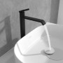 Rubinetto per lavabo alto monocomando Villeroy & Boch Dawn senza piletta di scarico - immagine prodotto