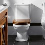 Villeroy & Boch Hommage Spülkasten, Duo-Spartaste verchromt - technische Ansicht