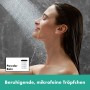 Ensemble de douche hansgrohe Rainfinity 130 avec 3 types de jets et barre de douche 65 cm - vue technique