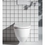 LAUFEN Cleanet Navia WC-doccia senza bordo con apertura laterale per collegamento dell'acqua esterno - vista dettagliata
