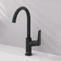 Mitigeur de lavabo monocommande hansgrohe Logis 210 sans vidage