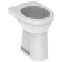 Geberit Renova Comfort WC a scarico verticale