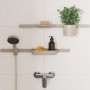 Support doccia hansgrohe WallStoris Planet Edition Push - vista dettagliata