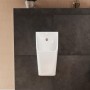hansgrohe EluPura Original Q Urinal mit Zulauf von hinten und Ablauf nach unten/hinten spülrandlos - Produktansicht