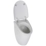 Coperchio per orinatoi Villeroy & Boch Arriba - vista tecnica