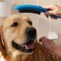 hansgrohe DogShower Hundebrause 150 3 Strahlarten Select - Detailansicht