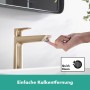 hansgrohe Pulsify E Pomme de douche à main en forme de bâton 100 1 jet EcoSmart+
