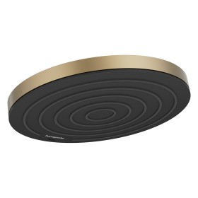 hansgrohe Pulsify Pomme de douche 260 1jet