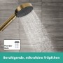hansgrohe Pulsify Pomme de douche 260 1jet - vue détaillée