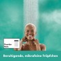 hansgrohe Pulsify Pomme de douche 260 1jet - vue technique