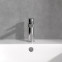 Rubinetto monocomando per lavabo Villeroy & Boch Architectura - immagine prodotto