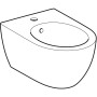 Geberit Acanto Wandbidet geschlossene Form - Detailansicht