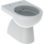 Geberit Renova WC a terra con scarico a pavimento, uscita verticale, forma semichiusa, Rimfree