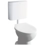 Serbatoio di scarico GROHE per WC