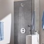 GROHE Vitalio Start 100 Handbrause mit 2 Strahlarten - Detailansicht