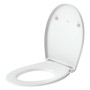 Duravit Universal WC-Sitz oval mit Absenkautomatik - Detailansicht