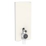 Module sanitaire Geberit Monolith Plus pour WC sur pied, 114 cm, façade en verre