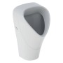 Geberit Renova Urinal, Zulauf von hinten, Abgang nach hinten