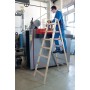 Krause Sprossen-Doppelleiter (Holz) 2x5 Sprossen - Detailansicht
