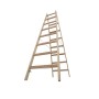 Krause Sprossen-Doppelleiter (Holz) 2x8 Sprossen - Produktansicht
