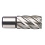 Foret à noyau PROJAHN avec queue Weldonschaft 19 mm (3/4") HSS Affûtage complet