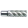 Foret à noyau PROJAHN avec queue Weldonschaft 19 mm (3/4") HSS Affûtage complet - vue détaillée