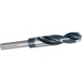 Foret hélicoïdal PROJAHN avec queue cylindrique déportée HSS-G Norme d'usine Type N