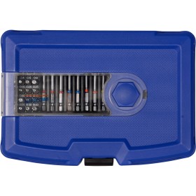 Scatola di bit universale PROJAHN COLOR con cacciavite a cricchetto da 6,3 / 1/4" 25 mm + 38 mm + 75 mm 60 pz