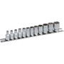 PROJAHN Rail de douilles Xi-on équipé métrique 6,3 / 1/4" incl. 12 douilles