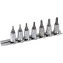 Rail de douilles PROJAHN équipé pour vis intérieures TX 6,3 / 1/4" Incl. 7 douilles