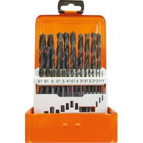 Set di punte elicoidali PROJAHN HSS DIN 338 Tipo N ECO 24 pezzi