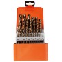 Set di punte elicoidali PROJAHN HSS-Co 5 % DIN 338 BASIC 25 pezzi