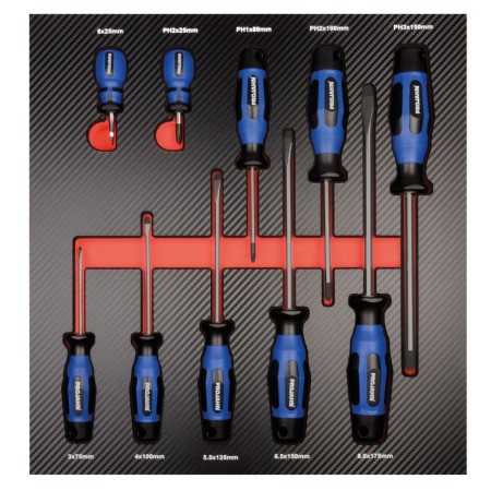 Ensemble de tournevis PROJAHN PROForm avec système d'insertion 10 pièces
