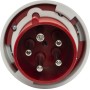 Brennenstuhl CEE-Stecker 63A (Starkstrom-Stecker 400V, 5-polig, Staub- und wasserdicht IP67) - Detailansicht