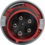 Brennenstuhl CEE-Stecker 125A (Starkstrom-Stecker 400V, 5-polig, Staub- und wasserdicht IP67) - Detailansicht