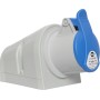 Brennenstuhl CEE-Wandsteckdose IP44 / CEE-Wandsteckdose für den Aussenbereich (230V/16A