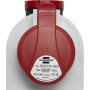 Brennenstuhl Kombi-Wandsteckdose IP44 (Steckdosen: Steckdosen: CEE 400V/16A und T25) - Detailansicht