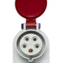 Brennenstuhl Kombi-Wandsteckdose IP44 (Steckdosen: CEE 400V/32A + T13 230V/10A) - technische Ansicht