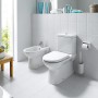 WC sur pied LAUFEN PRO avec chasse d'eau profonde pour combinaison avec hauteur d'assise surélevée de 48 - vue détaillée